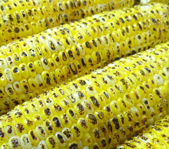 Grilled corn on the cob.